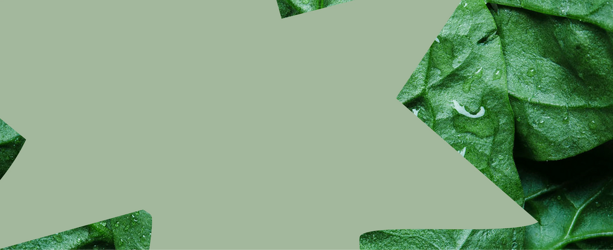 Contacts Background for Desktop