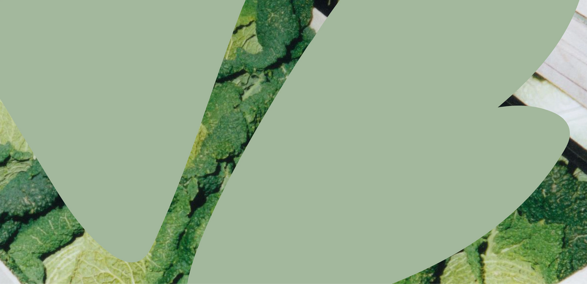 Events Background for Desktop