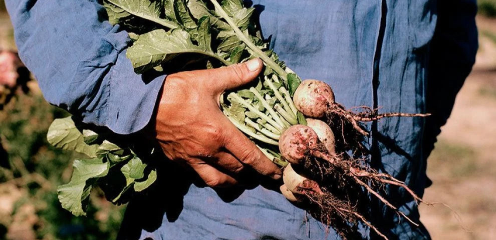 Footer images — Farmer