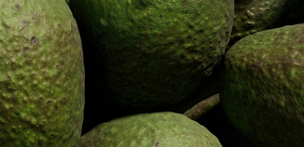Footer images — Avocado